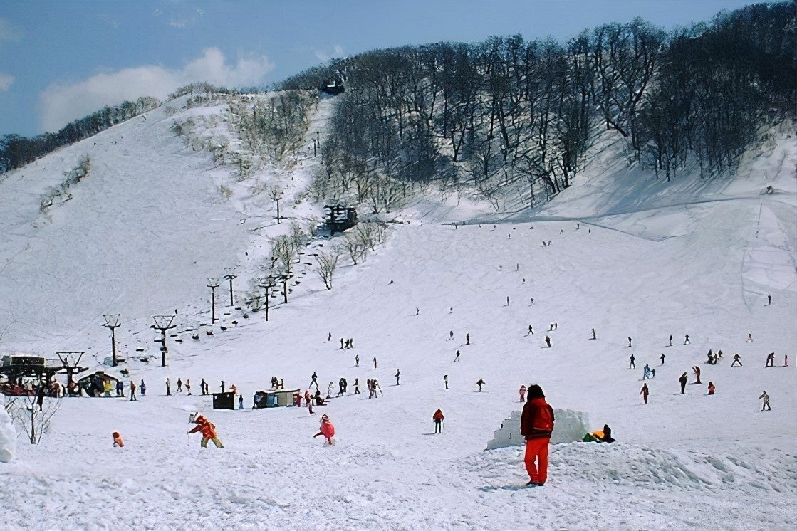 ソリ広場や雪原を散策するスノーシュー、クロスカントリースキーも楽しめます