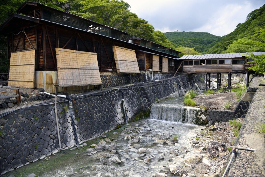 栃木県「那須温泉」の「鹿の湯」