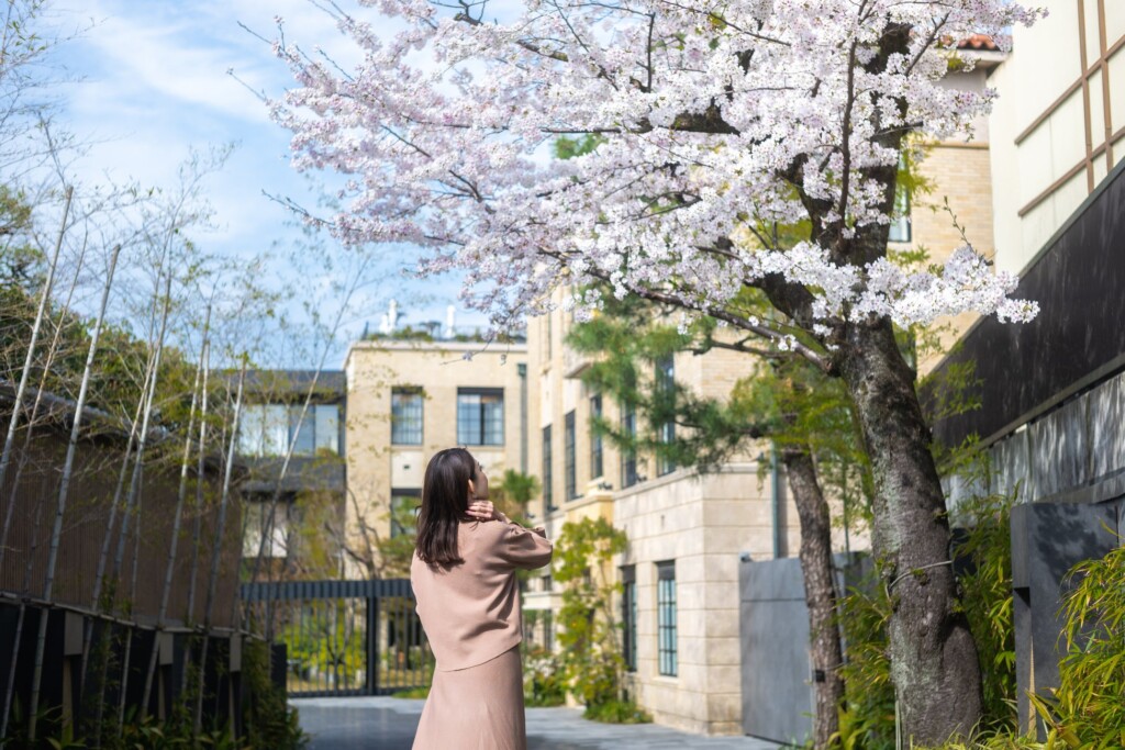 小学校時代からの桜が印象的なホテルエントランス