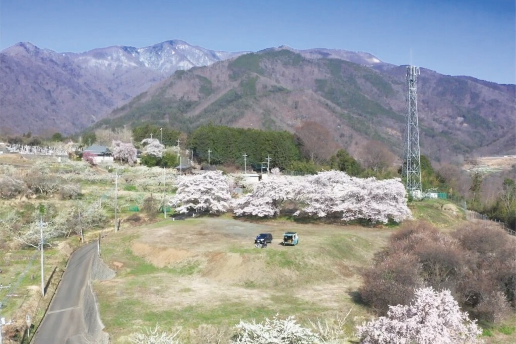 春の築山広場