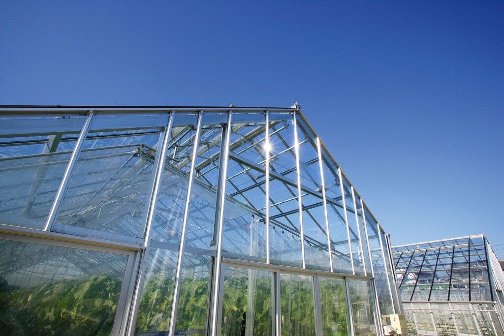 光を好むメロンの栽培に適したガラス温室