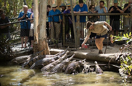 HARTLEYS CROCODILE ADVENTURES