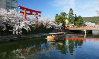 写真提供：京都府旅行業協同組合