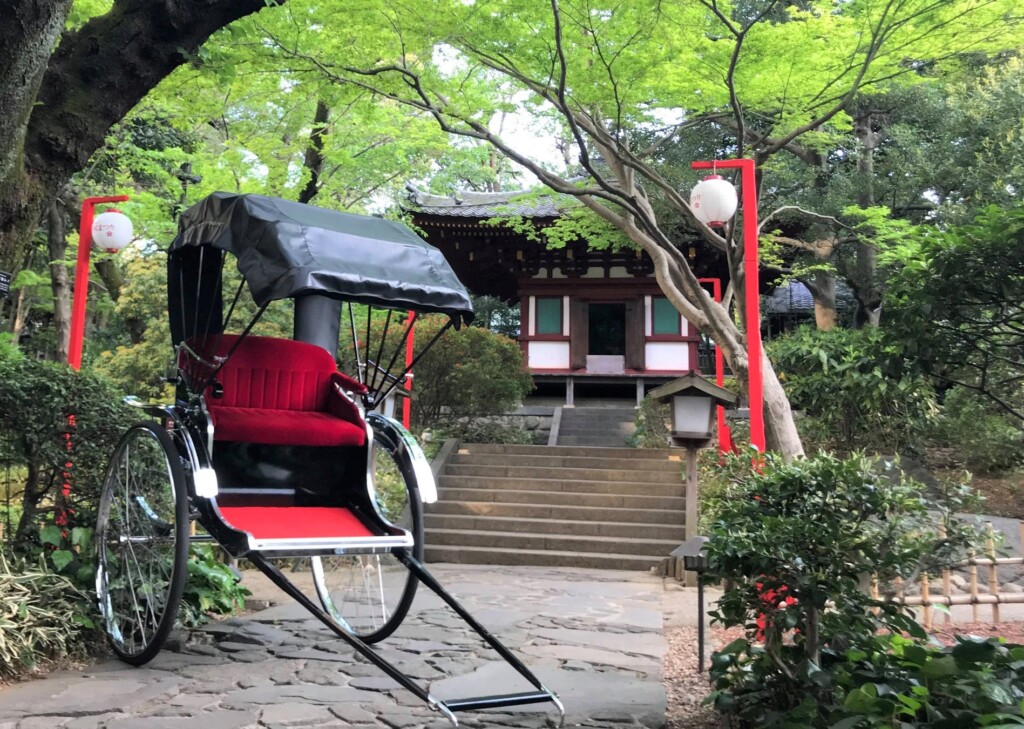 春の朝の日本庭園を人力車に揺られ周遊する風流なひととき