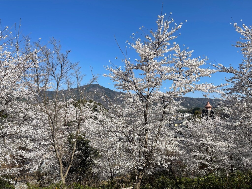 妙満寺