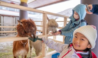 雪のテーマパーク　鹿島槍スキー場ファミリーパーク