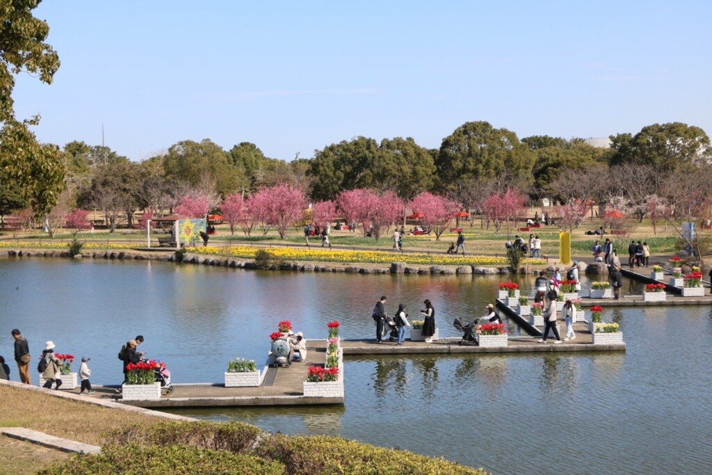 フォトスポットのあるおもちゃ箱花壇周辺は、休日には多くの人で賑わいます（２月１８日撮影）