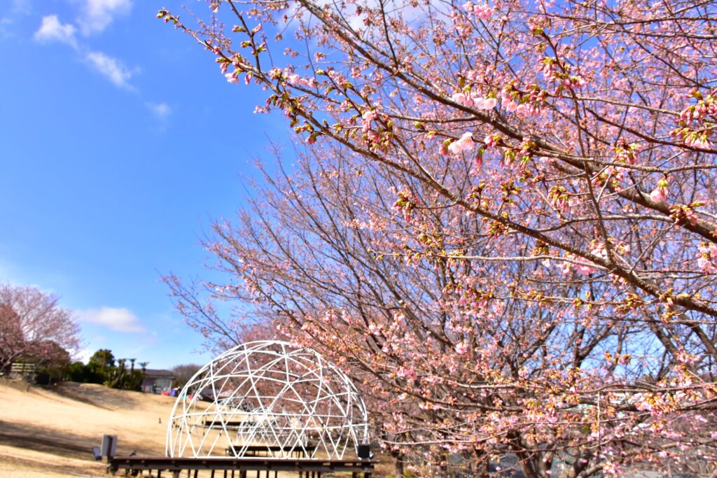 2024年2月24日現在の様子