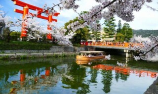 写真提供：京都府旅行業協同組合