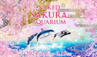 NAKED SAKURA AQUARIUM KV