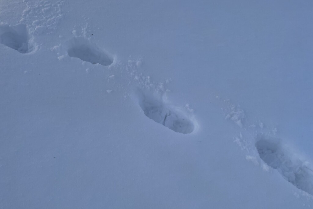 ツボ足とは、スノーシューなどを使わずにブーツや長靴で雪面を歩くことをいい、雪が陥没して壺のような足跡を残すことからツボ足と呼ばれています