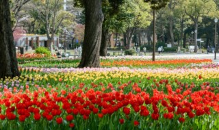 横浜公園（過去の様子）