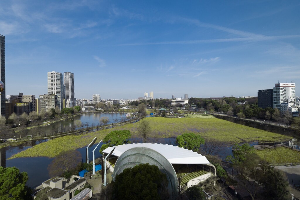 ▲大浴場から眺める不忍池・上野公園