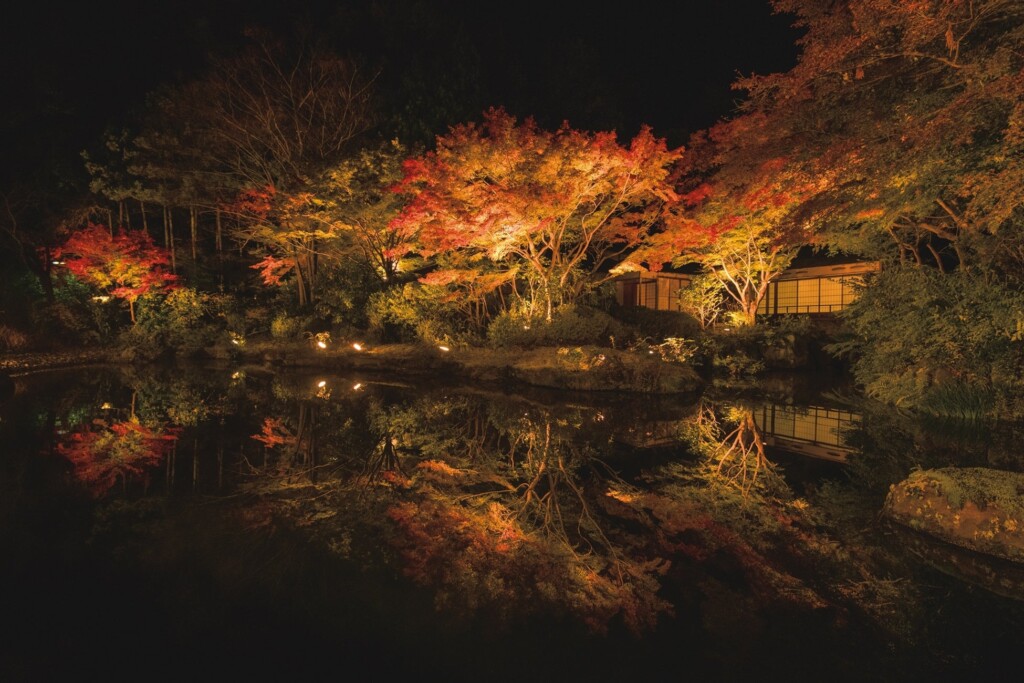 「茶寮」と日本庭園 秋の夜景