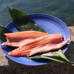 淡路島の春に登場するブランド食材「淡路島サクラマス」