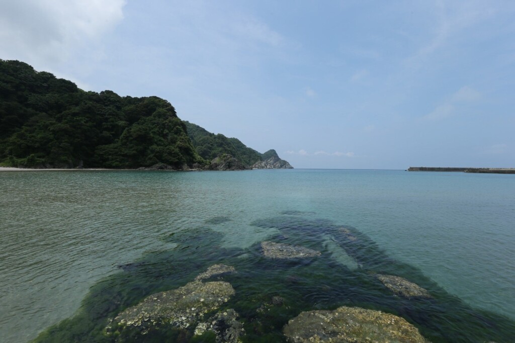 居組県民サンビーチ（車約25分）