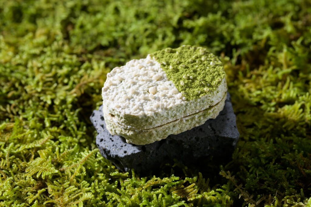 オオバチョウチンゴケをイメージしたダックワーズ