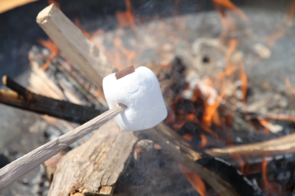 アウトドアエリア「スモア(焼きマシュマロ)体験」(イメージ)