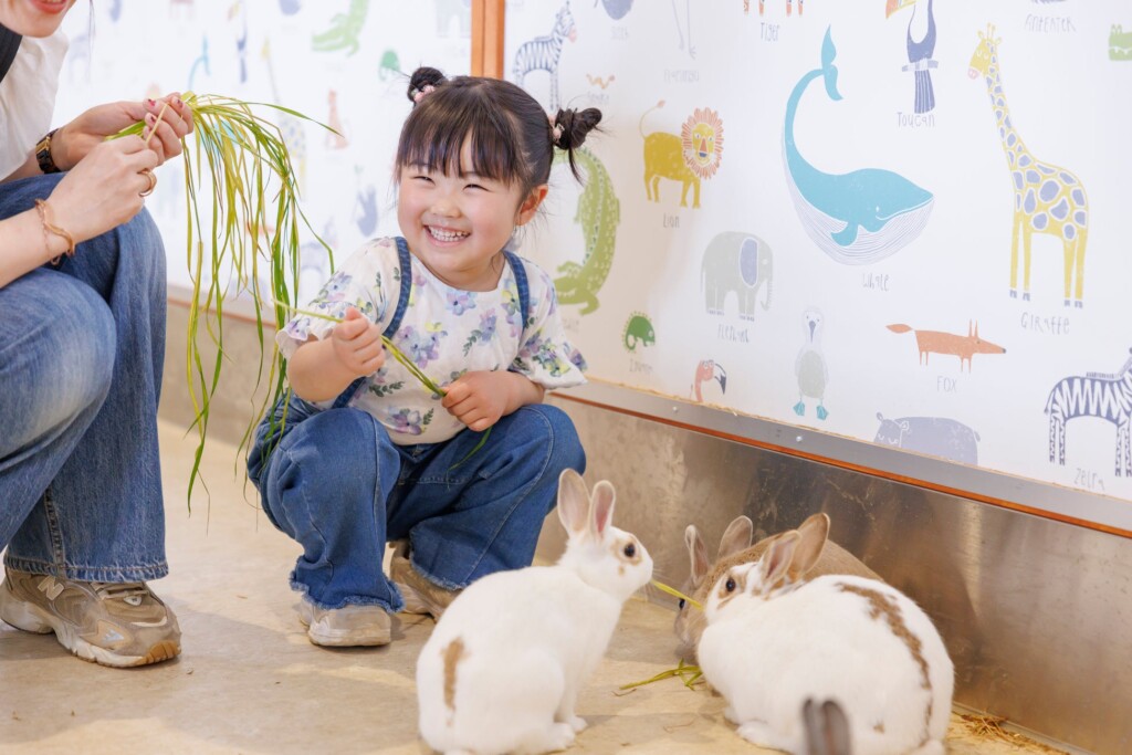 屋内型ふれあい動物園