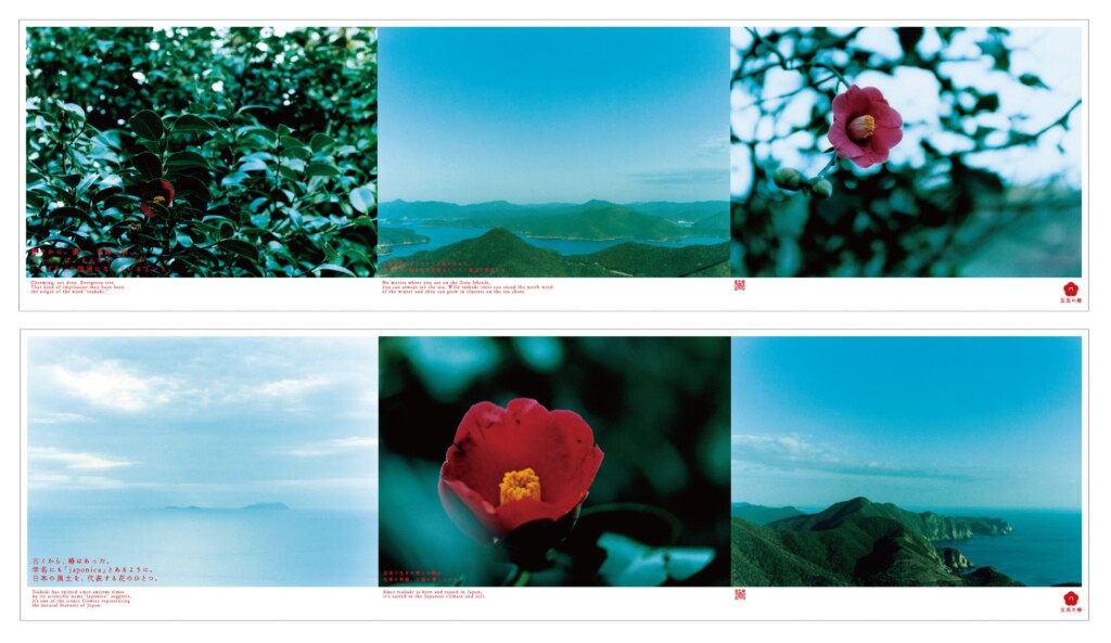 広告使用写真　五島の風景、椿の写真：五島の椿ブランドブックより（写真／泊 昭雄）