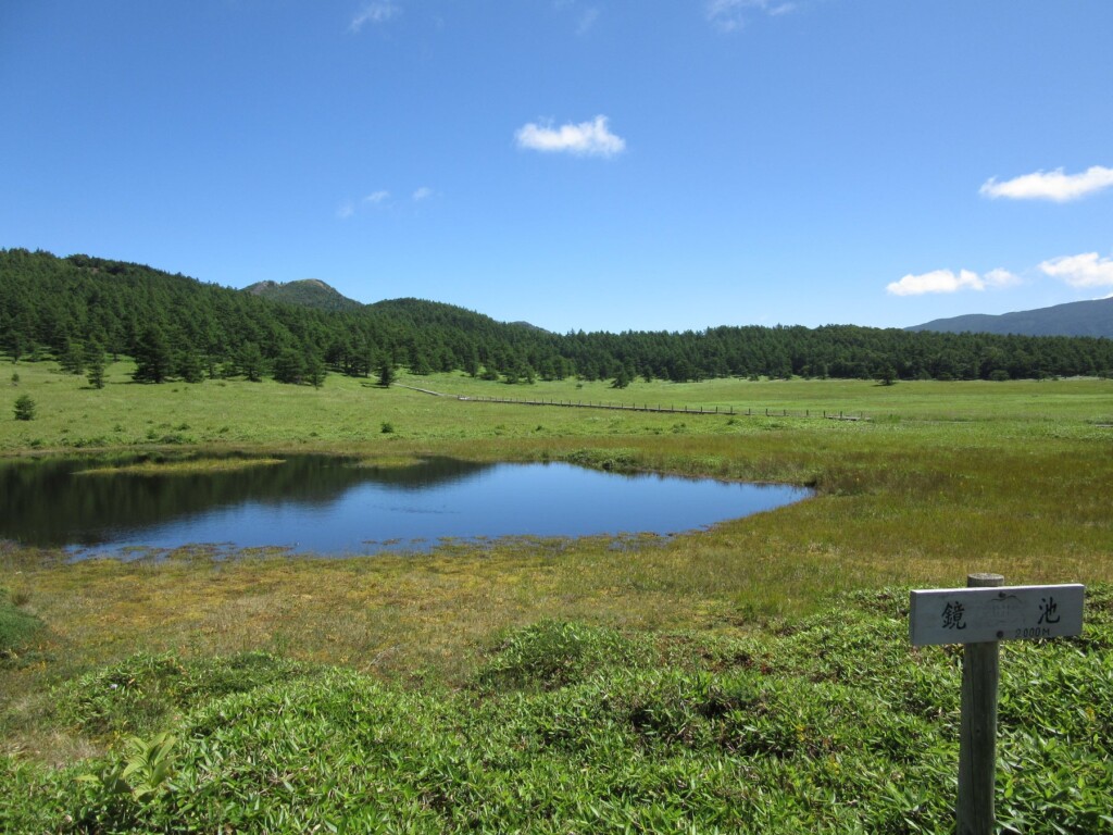 全体的に乾燥気味な池の平湿原に唯一ある大きな池塘「鏡池」