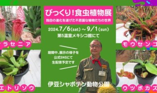 びっくり！食虫植物展