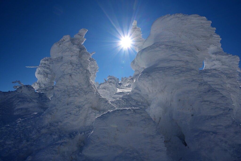 写真：蔵王の樹氷／提供：山形市 商工観光部 観光戦略課