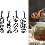 【（左）AOAO SAPPOROオリジナル「文字のしおり」（右上下）“しましま”な生物たち】