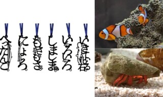 【（左）AOAO SAPPOROオリジナル「文字のしおり」（右上下）“しましま”な生物たち】