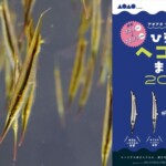 【（左）AOAO SAPPORO展示生物“ヘコアユ”の群れ（右）ひらひら“ヘコアユ”まつり2024】