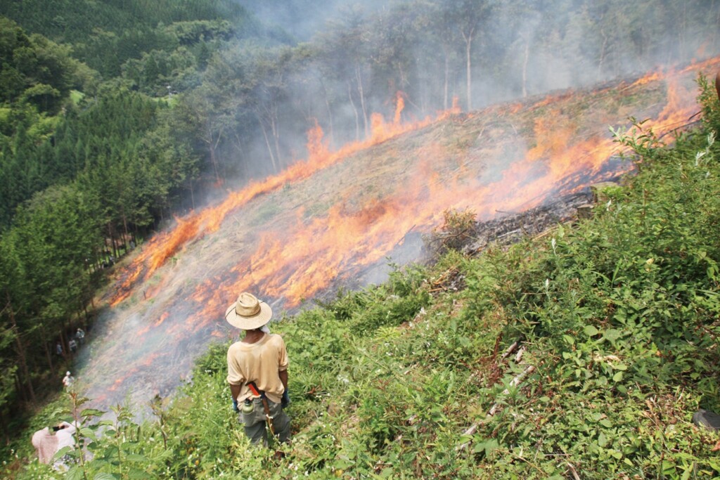 世界農業遺産「椎葉の焼畑」