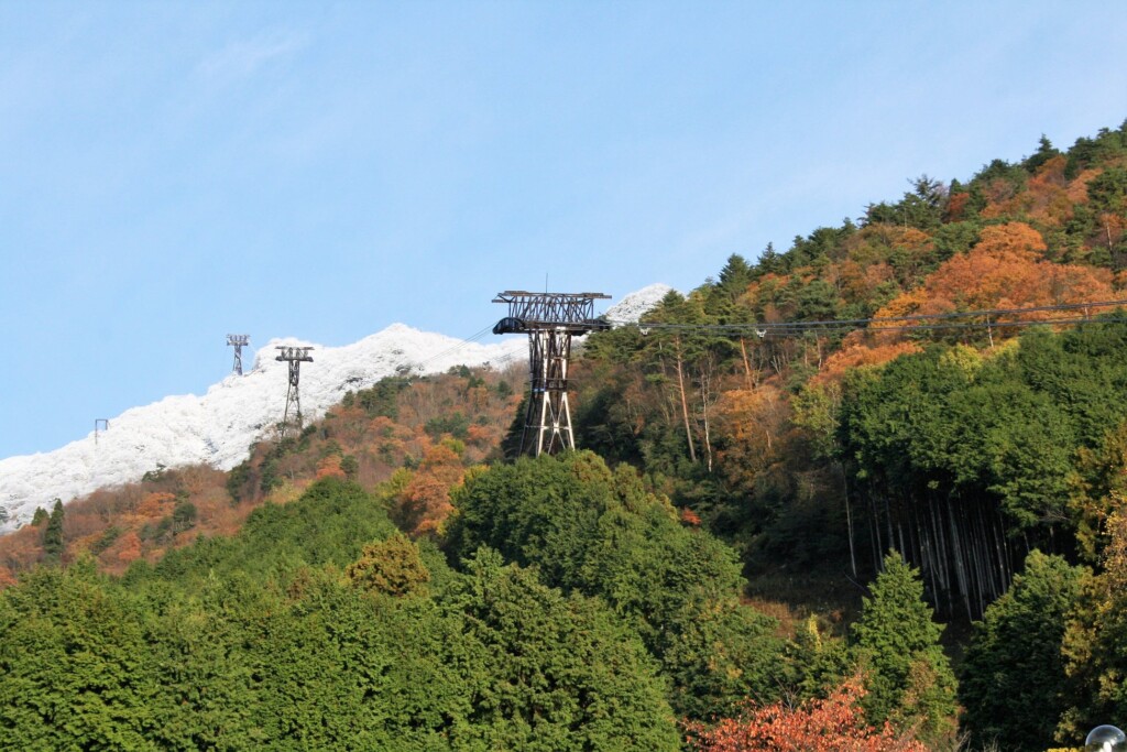 「雪・紅葉・緑」三段紅葉