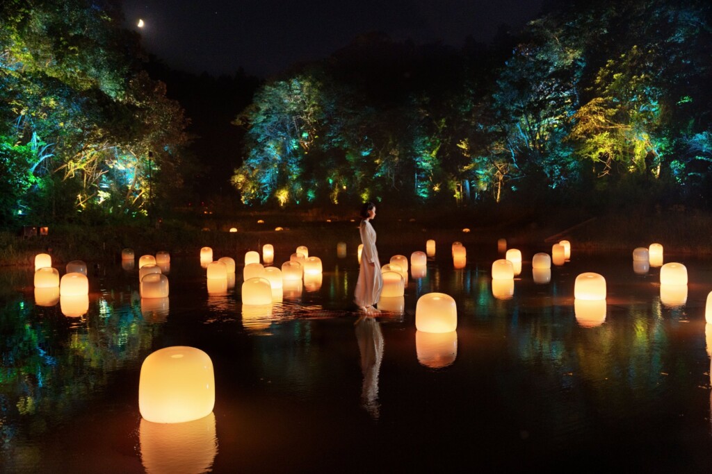 隠田跡の水の中の道。チームラボ《隠田跡の水鏡の道》、《隠田跡》、《幽谷の呼応する森》© チームラボ