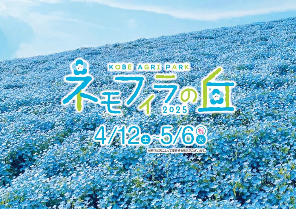 157495-2-b80faaad2db52b2b3b1f9ddfb98b2be0-1754x1240-1