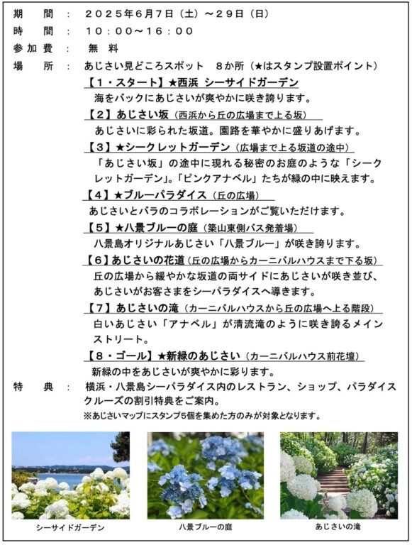 11571-773-a76ef1a6c7b6cf9752ee7af3e731fa84-1026x1356-2