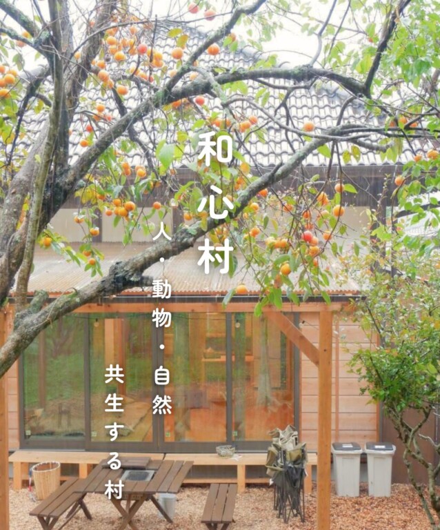 116479-5-db74dd65e12a02e4b7c9a3d12ec51323-1620x1950-1