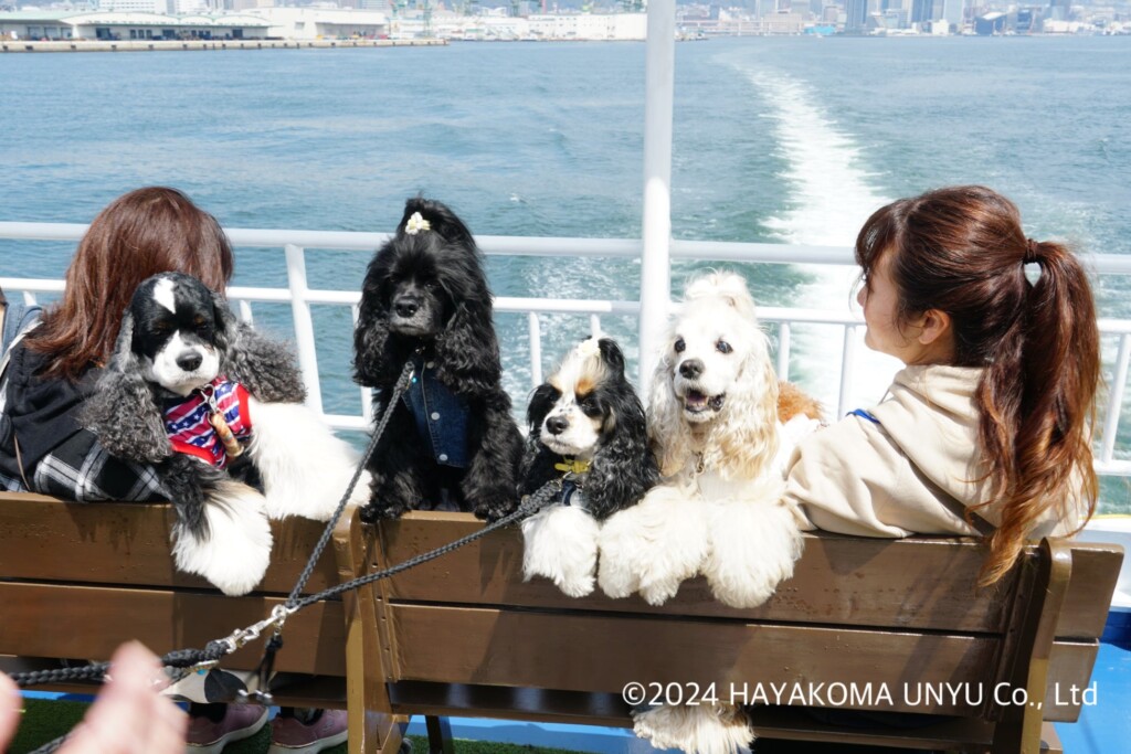 127012-68-e402f57aeb04472b59a0971d06ae9c46-3900x2600-1