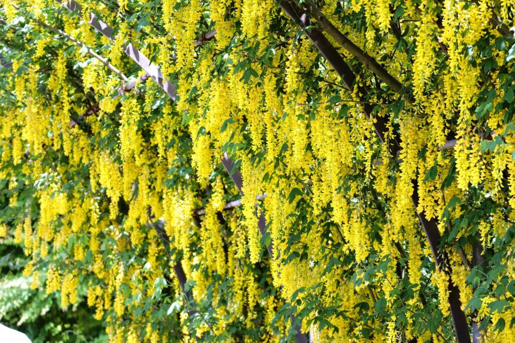 29452-56-f8b3dbe48082ecba21c425b844956c1b-3000x2000-1